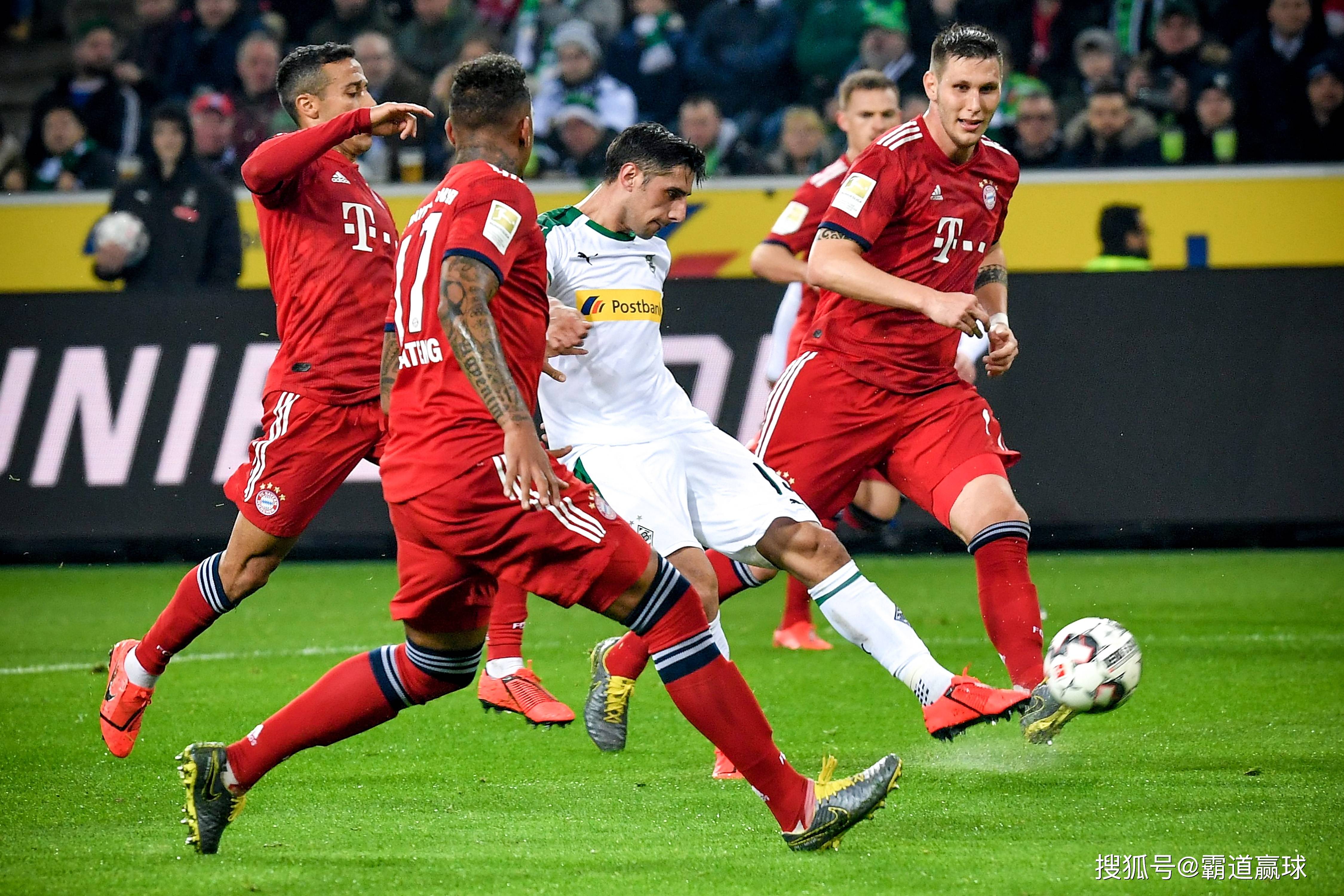 明尼苏达森林狼 明尼苏达森林狼